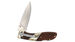 Medium Lockback Clip Folder Knife